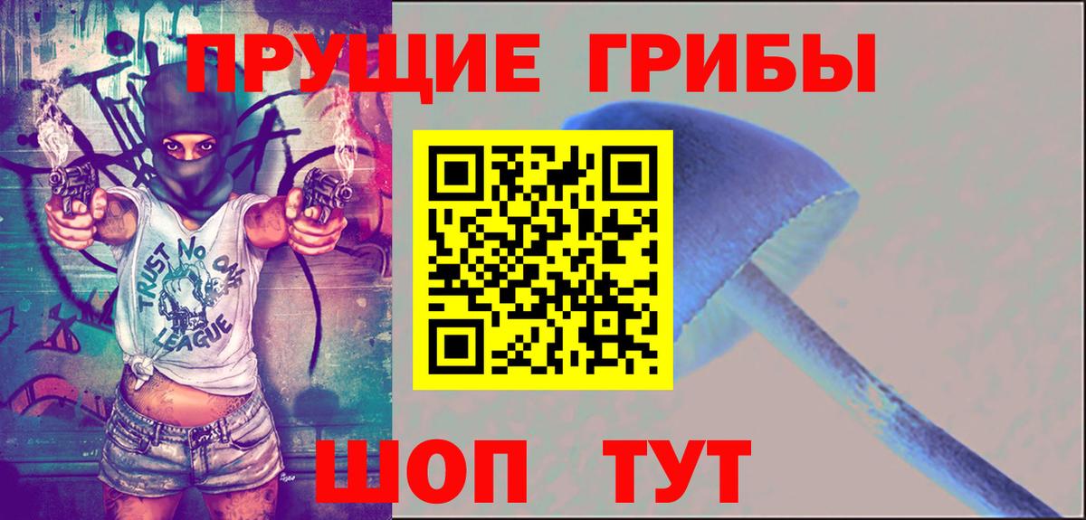 Карачаевск  Псилоцибиновые грибы MAGIC MUSHROOMS  Вход с VPN 