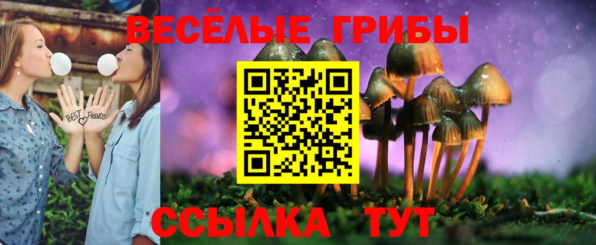 Галлюциногенные грибы MAGIC MUSHROOMS Карачаевск